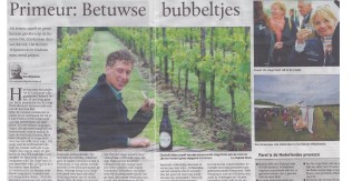 Verslag Pareldag in De Gelderlander