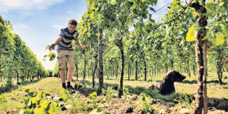 Financieel Dagblad, 27/08