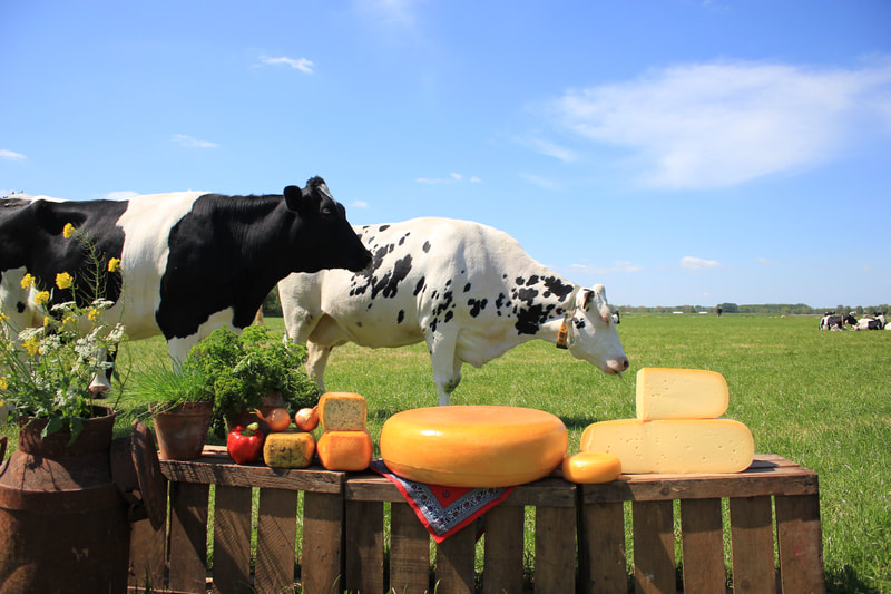 streekproduct Picknick Noordam hellouw